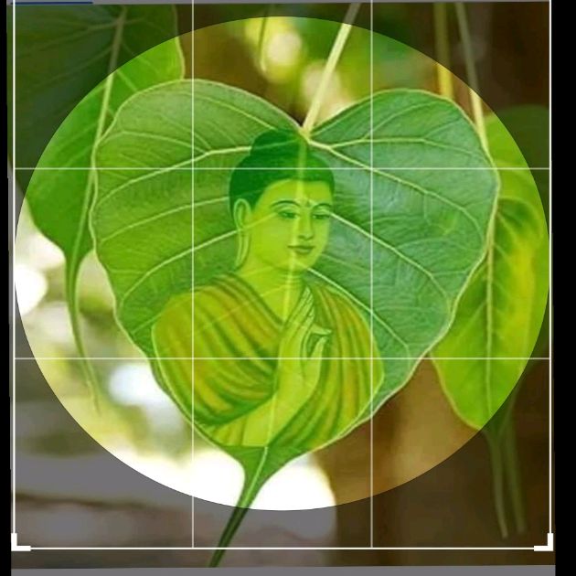 Lê văn diên