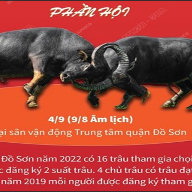 NGÔ VI TRƯỞNG