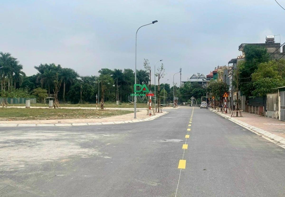 Hình ảnh 7