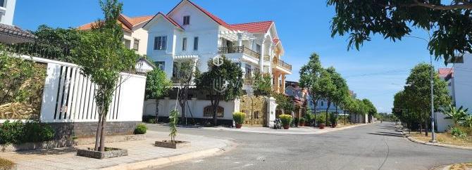 Hình ảnh 3
