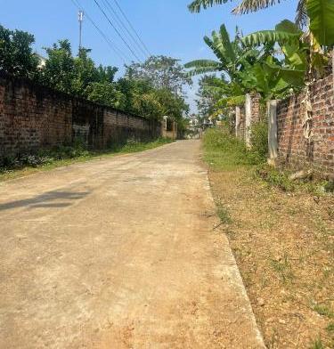 Hình ảnh 2