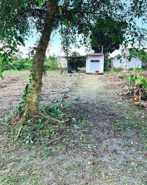 Cần bán Đất nền riêng lẻ 562m² Xã Gia Tân 1, Huyện Thống Nhất, Đồng Nai