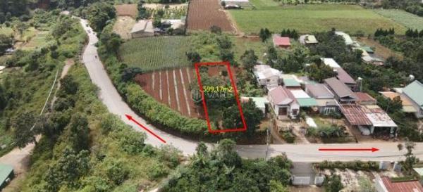Bán Đất nền riêng lẻ 559m² Đường Tỉnh lộ 725, Xã Tà Nung, Thành phố Đà Lạt, Lâm Đồng