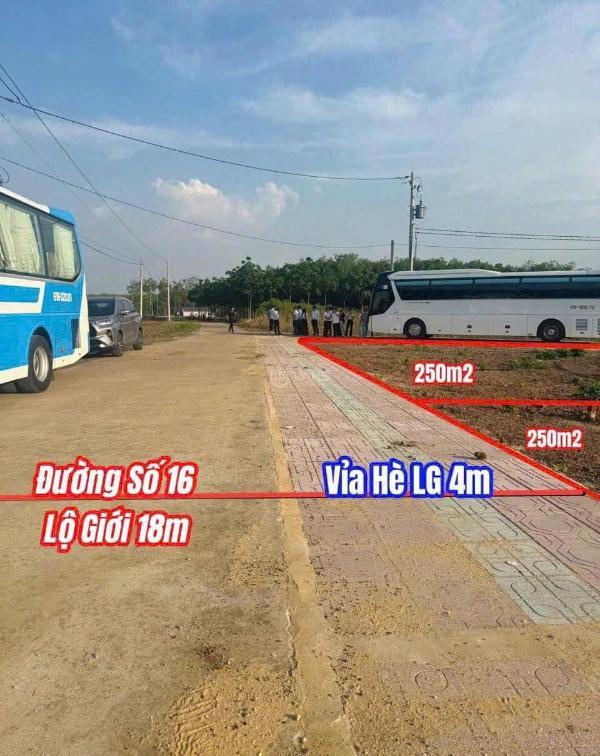 Bán Đất nền Dự án 250m² Xã Minh Lập, Huyện Chơn Thành, Bình Phước