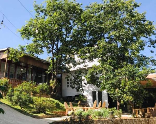Bán Nhà mặt phố 1810m² Đường Đống Đa, Phường 3, Thành phố Đà Lạt, Lâm Đồng