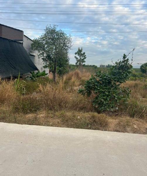 Bán Đất nền riêng lẻ 439m² Đường Số 6, Xã Tân Phúc, Huyện Hàm Tân, Bình Thuận