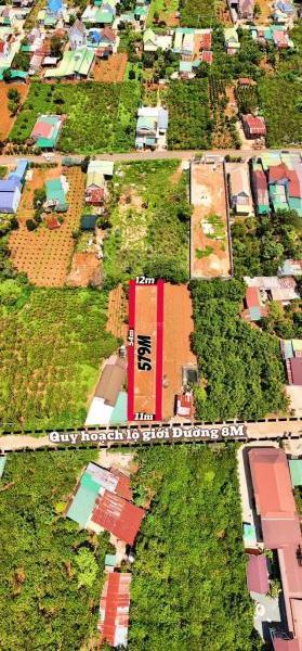 Cần bán Đất nền riêng lẻ 579m² Đường Tỉnh lộ 725, Xã Tà Nung, Thành phố Đà Lạt, Lâm Đồng
