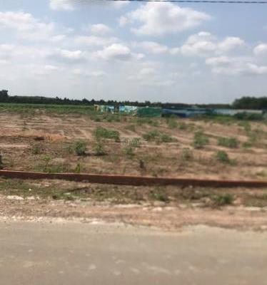 BÁN ĐẤT NỀN GIÁ RẺ 🆘 NGAY TRUNG TÂM CÁC KCN TẠI BÀU BÀNG Đường Trừ Văn Thố, Xã Trừ Văn Thố, Huyện Bàu Bàng, Bình Dương
