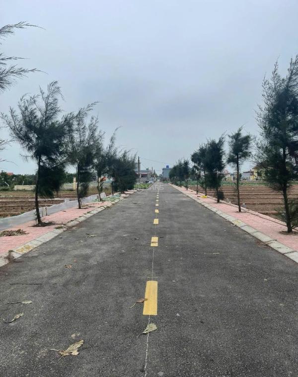 Chính chủ 💥 cần bán lô đất biển quất lâm, nam định. vị trí trung tâm, gần bãi tắm Thị Trấn Quất Lâm, Huyện Giao Thủy, Nam Định