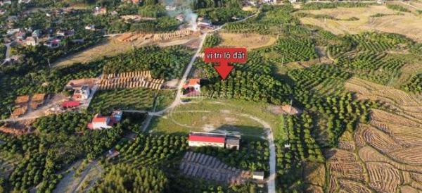 Bán Đất nền riêng lẻ 2000m² Xã Vô Tranh, Huyện Lục Nam, Bắc Giang