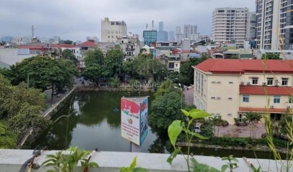 Bán Nhà trong hẻm 50m² Đường Cầu Giấy, Phường Quan Hoa, Quận Cầu Giấy, Hà Nội