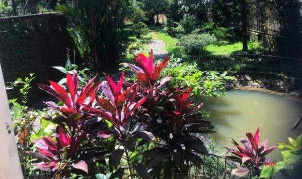 Cần bán Nhà trong hẻm 600m² Đường Nguyễn Thành Phương, Phường Thống Nhất, Thành phố Biên Hoà, Đồng Nai