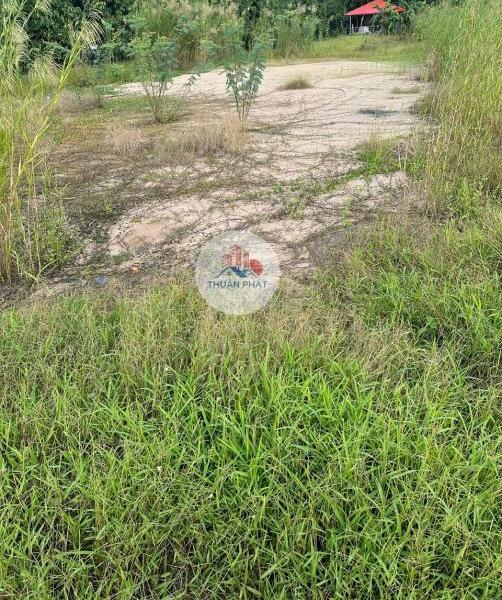 📌 SIÊU HOT: BÁN LÔ ĐẤT MẶT TIỀN 846 - XÃ 🏣 MỸ TÂN, TP. CAO LÃNH Đường 846 Xã Mỹ Tân, Thành phố Cao Lãnh, Đồng Tháp