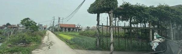 Chủ cần bán Đất nền riêng lẻ 400m² Xã Hải Hòa, Huyện Hải Hậu, Nam Định