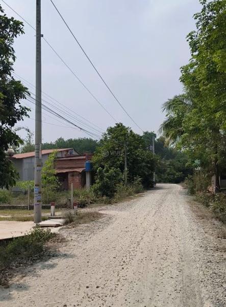 Hình ảnh 3