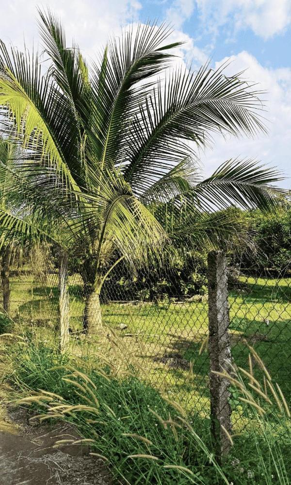 Bán Trang trại, nhà vườn 1000m² Xã Gia Tân 1, Huyện Thống Nhất, Đồng Nai