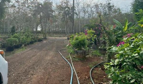 Bán đất xã Cẩm Đường Long 🏠 Thành Đồng Nai Xã Cẩm Đường, Huyện Long Thành, Đồng Nai