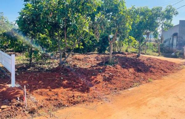 Bán Đất nền riêng lẻ 336m² Tỉnh lộ 725, Thị trấn Nam Ban, Huyện Lâm Hà, Lâm Đồng