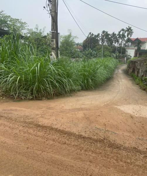 Bán Đất nền riêng lẻ 180m² Xã Thanh Minh, Thị xã Phú Thọ, Phú Thọ