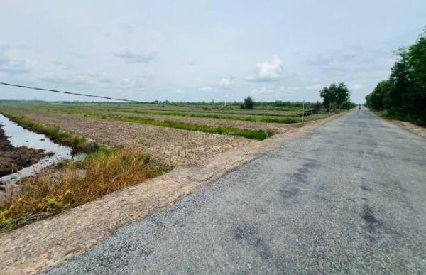 Chủ cần bán Khác 35000m² Đường Tỉnh lộ 865, Xã Mỹ Phước, Huyện Tân Phước, Tiền Giang