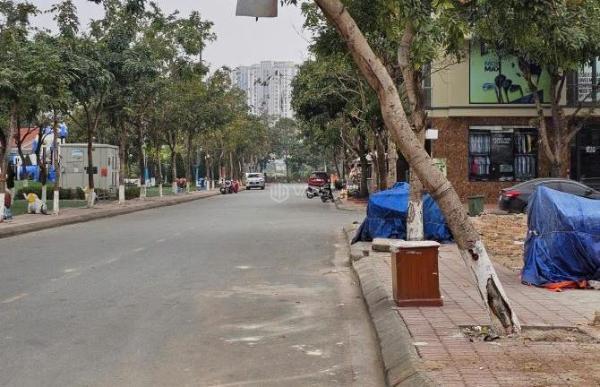 Bán Đất nền Dự án 90m² Phường Đại Phúc, Thành phố Bắc Ninh, Bắc Ninh