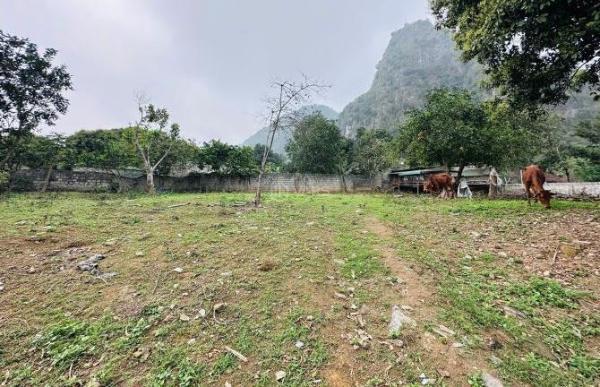 Chủ cần bán Đất nền riêng lẻ 1336m² Xã Mị Hòa, Huyện Kim Bôi, Hòa Bình