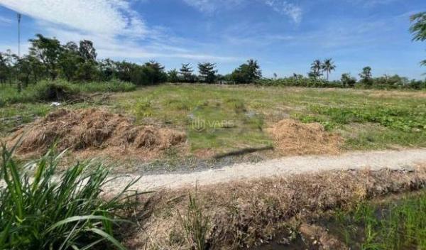 Cần bán Đất nền riêng lẻ 167m² Xã Phước Trung, Huyện Gò Công Đông, Tiền Giang