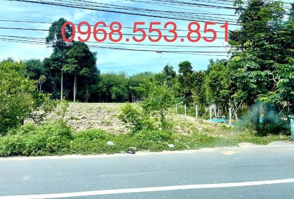 Bán Đất nền riêng lẻ 1000m² Xã Minh Lập, Huyện Chơn Thành, Bình Phước