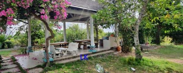 Cần bán Trang trại, nhà vườn 51000m² Xã Láng Biển, Huyện Tháp Mười, Đồng Tháp
