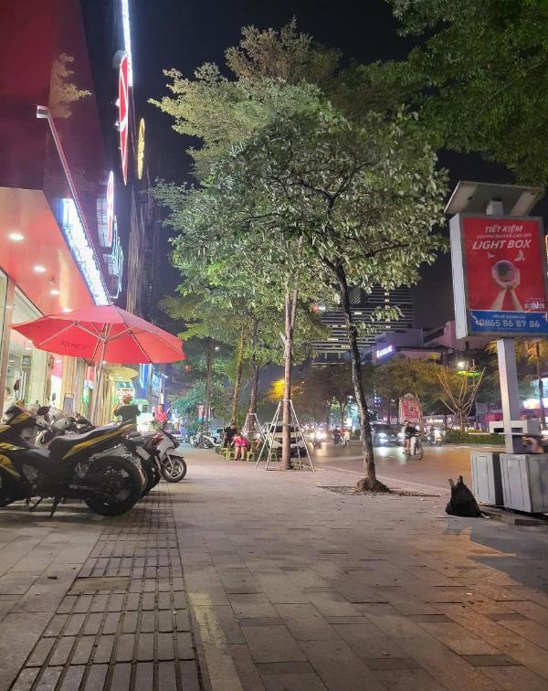 Chủ cần bán Nhà mặt phố 120m² Phường Quan Hoa, Quận Cầu Giấy, Hà Nội