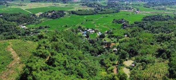 3302m 🏠 RSX Đồi Thoải - Giá Hạt Rẻ 110 Triệu Xã Vĩnh Đồng, Huyện Kim Bôi, Hòa Bình