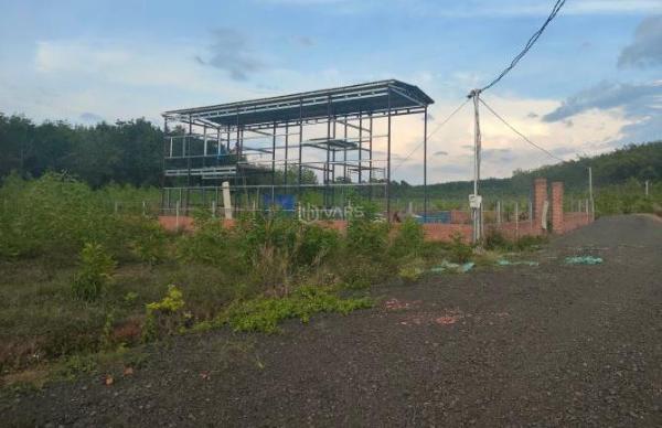 Bán Khác 1000m² Xã Tân Phước, Huyện Đồng Phú, Bình Phước