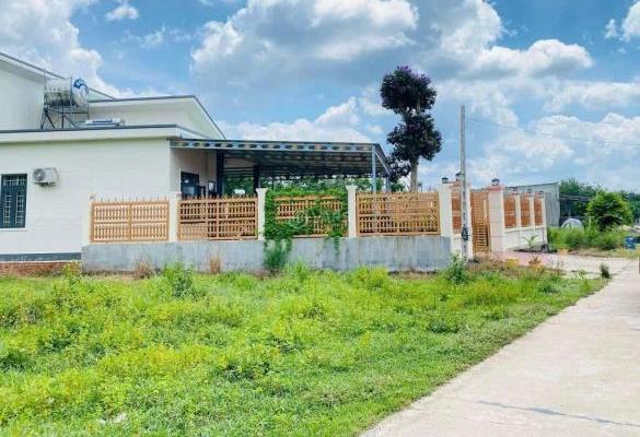 Bán Khác 3450m² Đường DH505, Xã An Linh, Huyện Phú Giáo, Bình Dương