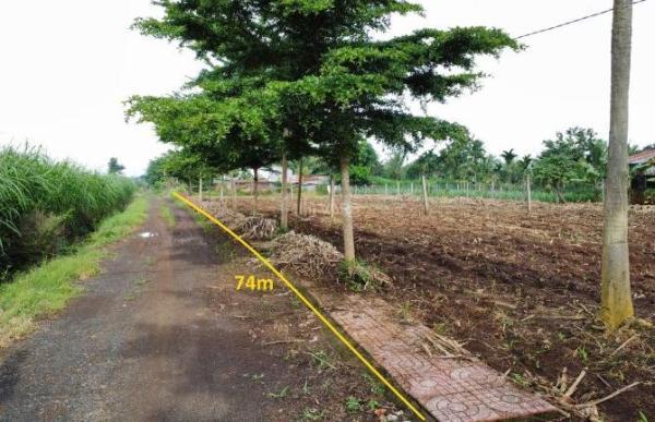 Bán Đất nền riêng lẻ 1500m² Tổ dân phố 15 Phường Khánh Xuân, Thành phố Buôn Ma Thuột, Đắk Lắk