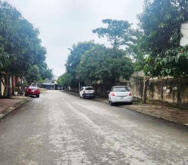 Bán lô đất đẹp dự án 💥 465 (đã ra bìa cá nhân) - phường Lê lợi - thành phố Vinh. Số 20/6 Đường Phan Bội Châu, Phường Lê Lợi, Thành phố Vinh, Nghệ An