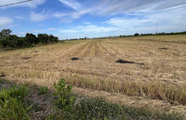 Chủ cần bán Khác 1000m² Xã Long Tân, Huyện Đất Đỏ, Bà Rịa Vũng Tàu