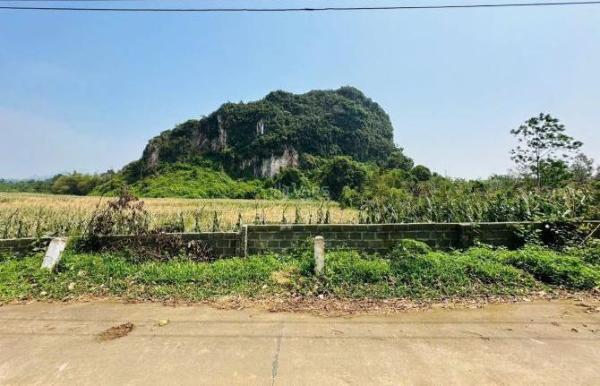 CHỈ HƠN 300TR SỞ 🆘 HỮU NGAY MẢNH ĐẤT FULL THỔ CƯ SẴN SỔ CÔNG CHỨNG VIEW CÁNH ĐỒNG CỰC ĐẸP Xã Cao Dương, Huyện Lương Sơn, Hòa Bình