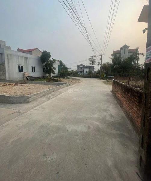 Chủ cần bán Đất nền riêng lẻ 98m² Đường Phó Đức Chính, Xã Tân Tiến, Huyện Văn Giang, Hưng Yên