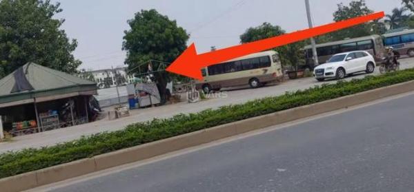 Bán Đất nền Dự án 15000m² Đường Tô Quyền, Thị trấn Văn Giang, Huyện Văn Giang, Hưng Yên
