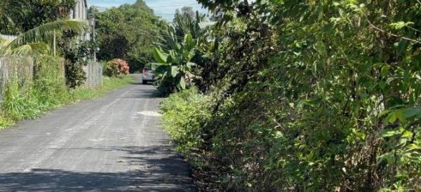 Cần bán Đất nền riêng lẻ 400m² Hương lộ 2, Phường Lộc Hưng, Thị xã Trảng Bàng, Tây Ninh