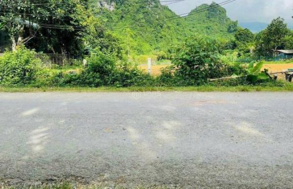 Bán Đất nền riêng lẻ 2454m² Đường Liên Xã, Xã Cao Dương, Huyện Lương Sơn, Hòa Bình