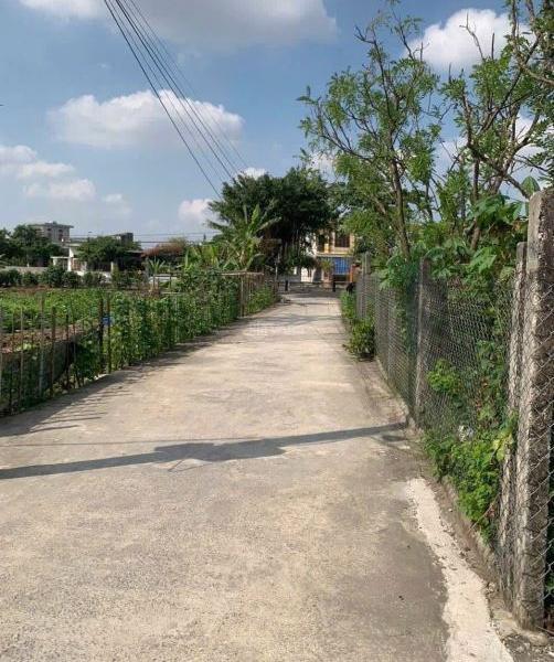 Bán Đất nền riêng lẻ 61m² Phường Tiền Phong, Thành phố Thái Bình, Thái Bình