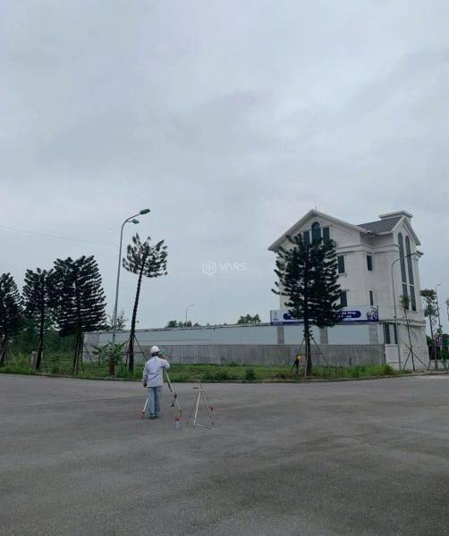 Hình ảnh 2