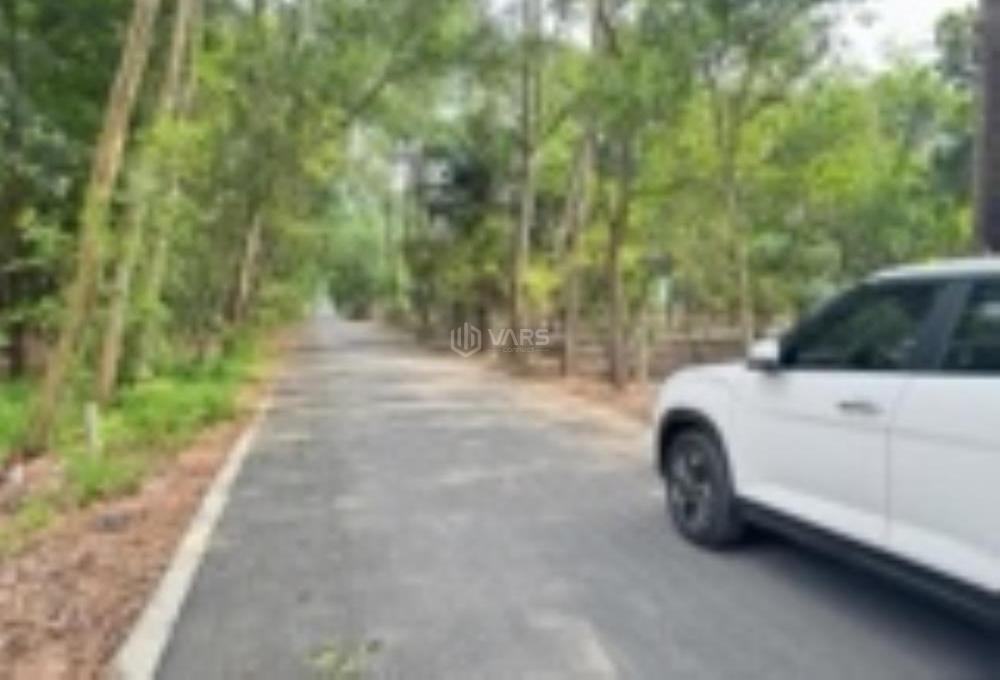 Hình ảnh 2