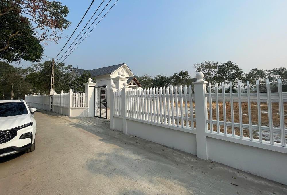 Hình ảnh 4