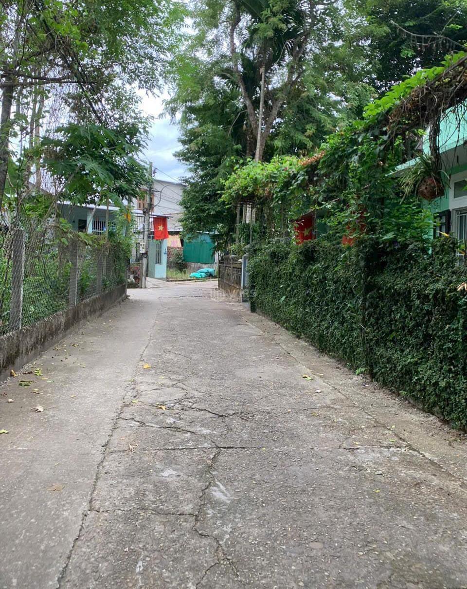 Hình ảnh 1