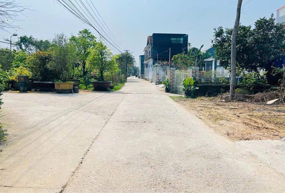 Hình ảnh 3