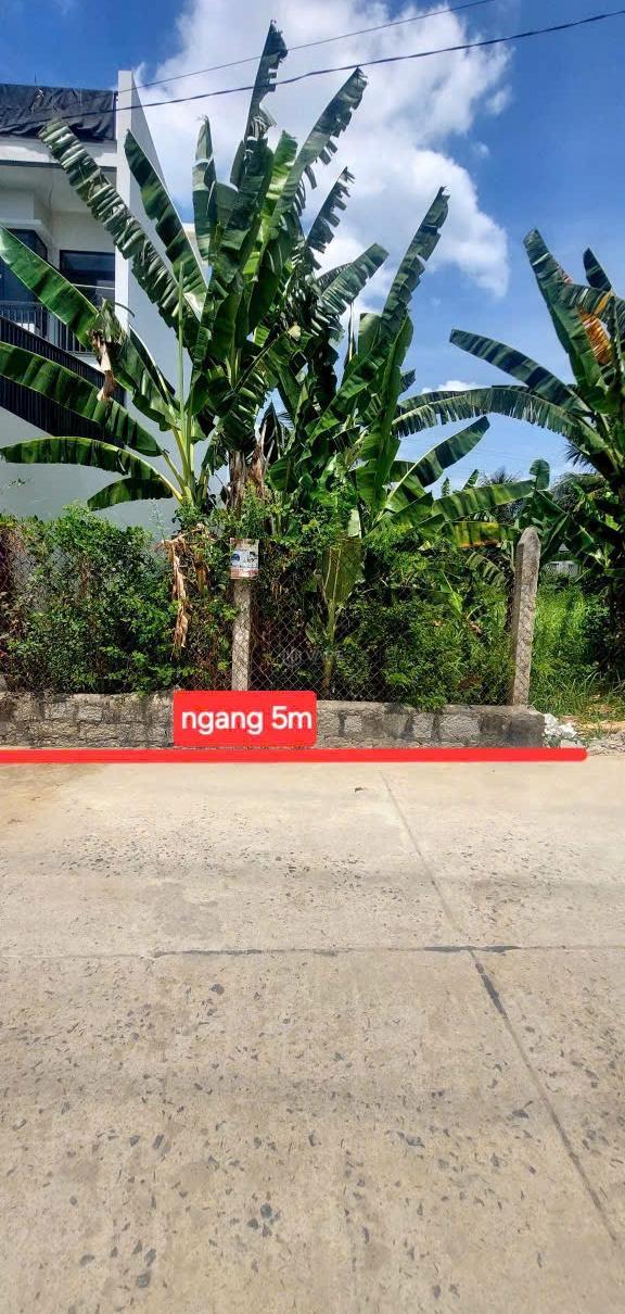 Hình ảnh 1