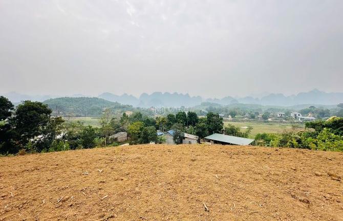 Hình ảnh 2