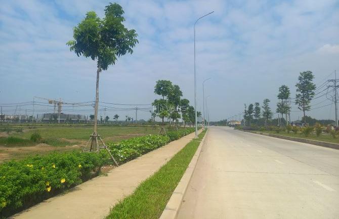 Hình ảnh 1